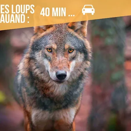 Le Boheme - Spa/netflix/wifi Fibre - Sejour Lozere *