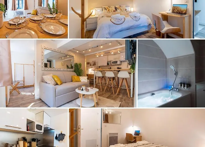 Apartment Le Boheme - Spa/netflix/wifi Fibre - Sejour Lozere Mende